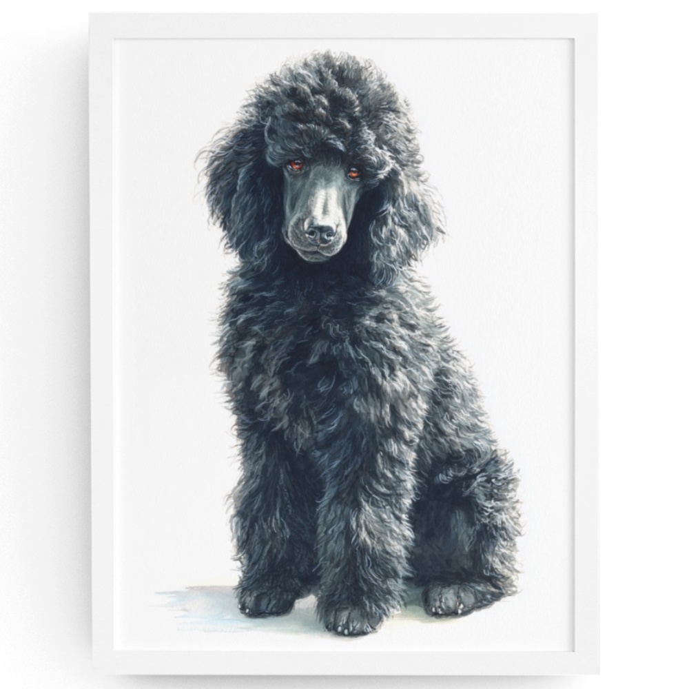 Watercolor Black Poodle Portrait Wall Art Print Poster, Unframed - Pet Artwork